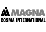 Magna Cosma International